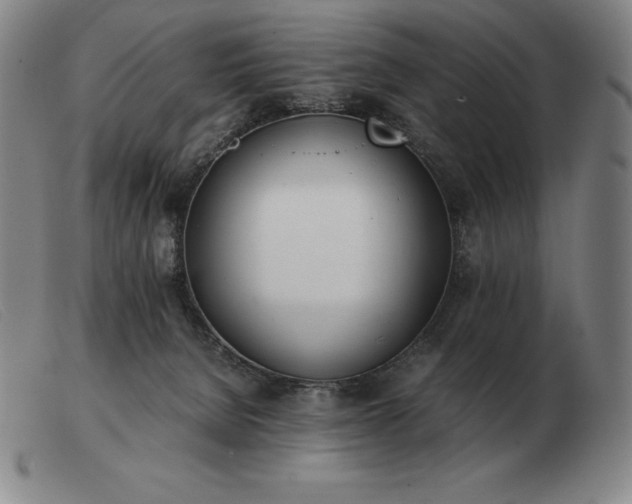 X0000103480080200809191908