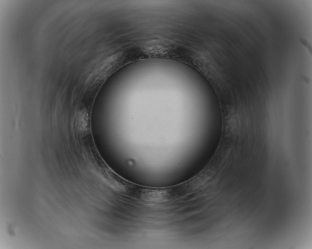 X0000103480081200809191908