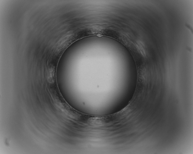 X0000103480082200809191908