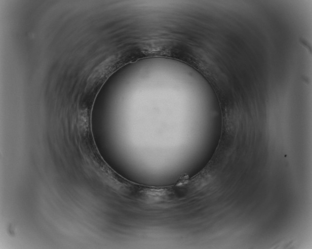 X0000103480085200809191908