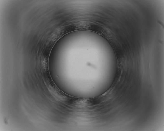 X0000103480086200809191908