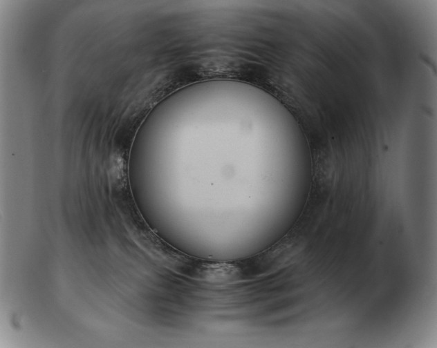 X0000103480087200809191908