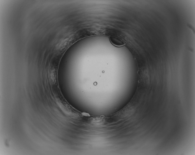 X0000103480088200809191908