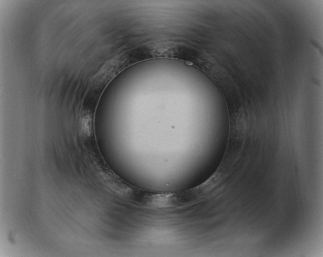 X0000103480090200809191908