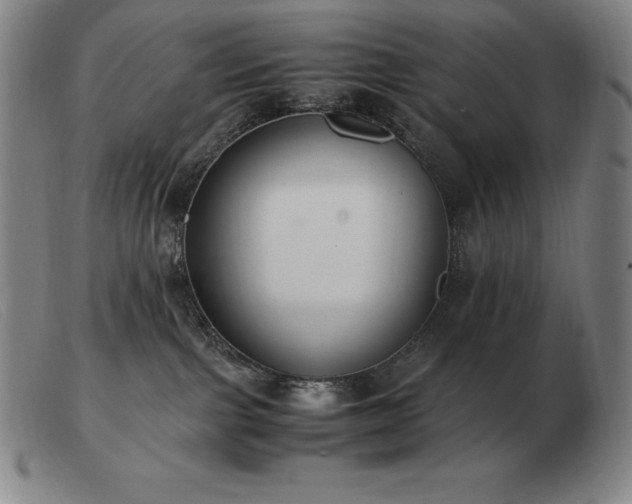 X0000103480091200809191908
