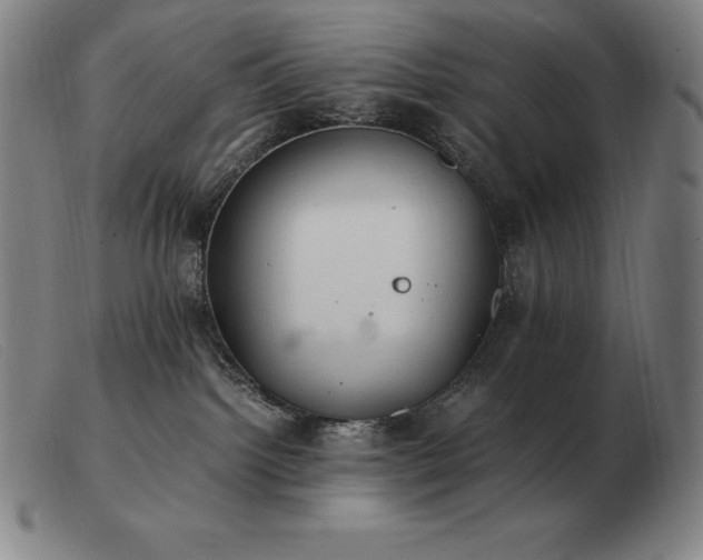 X0000103480092200809191908