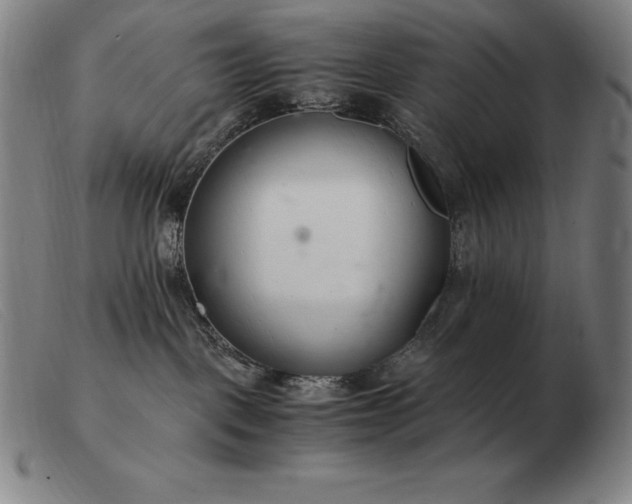 X0000103480093200809191909