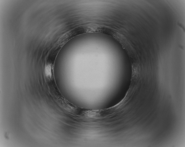 X0000103480094200809191909