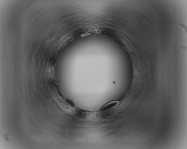 X0000103480096200809191909