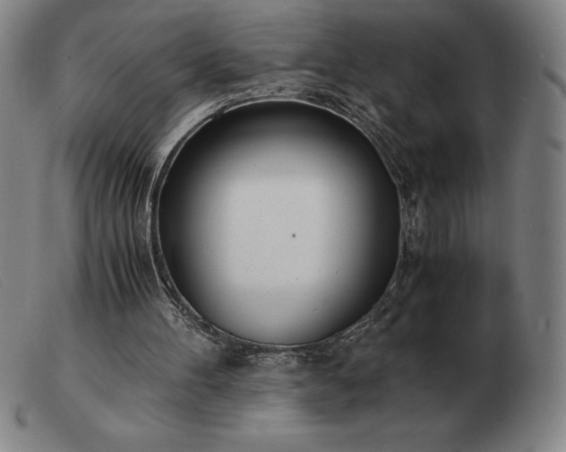 X0000103480100200809191908
