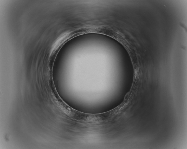 X0000103480101200809191908