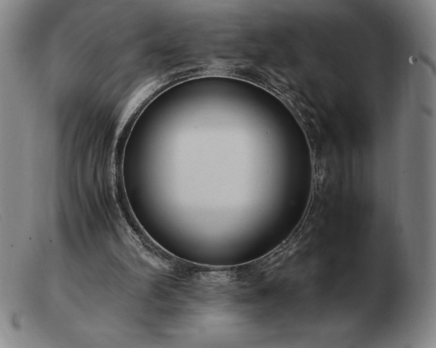 X0000103480102200809191908