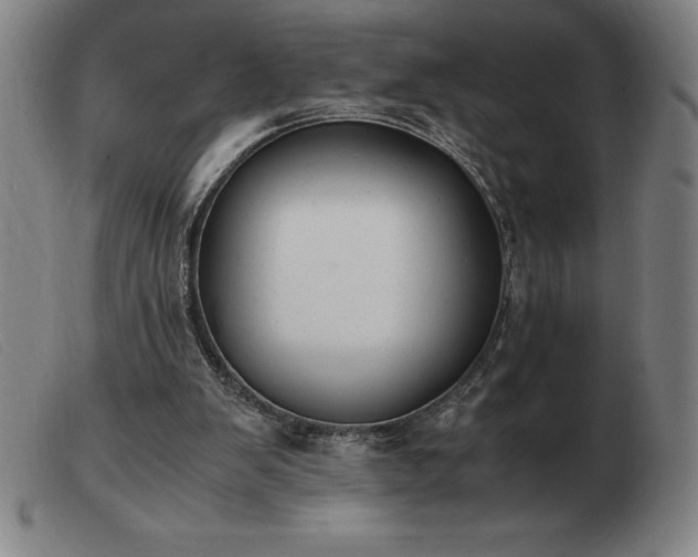 X0000103480103200809191908