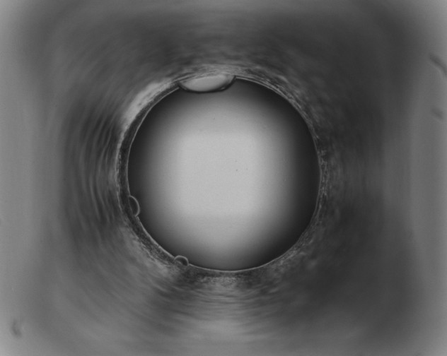 X0000103480104200809191908