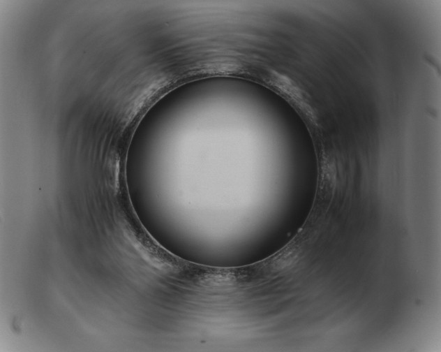 X0000103480110200809191908