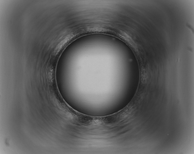 X0000103480111200809191908