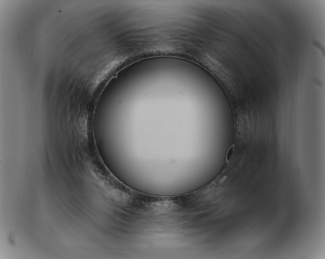 X0000103480112200809191908