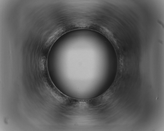 X0000103480114200809191908