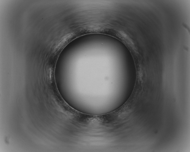 X0000103480115200809191908