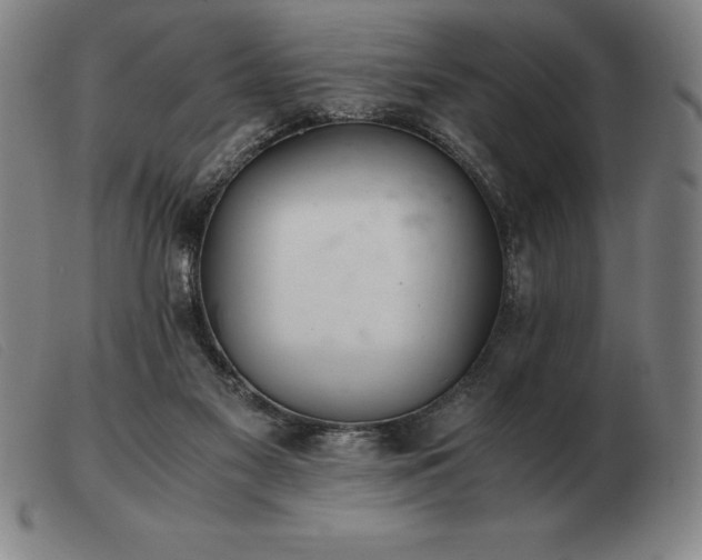 X0000103480117200809191908