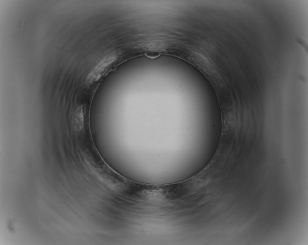 X0000103480120200809191908