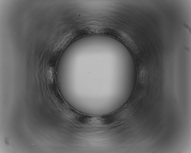X0000103480121200809191908