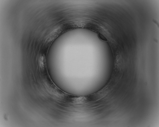 X0000103480122200809191908
