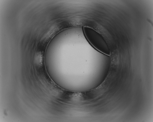 X0000103480124200809191908