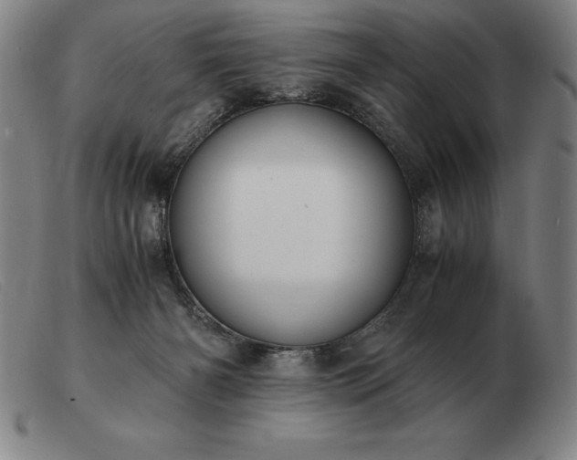 X0000103480126200809191907