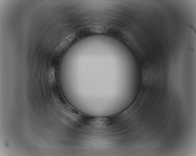 X0000103480128200809191907