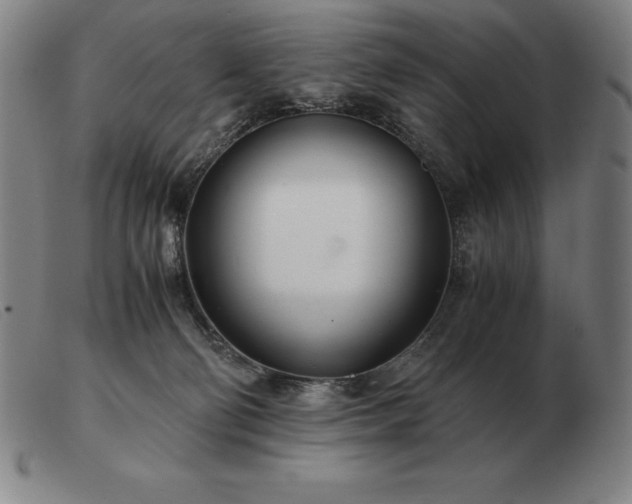 X0000103480130200809191907