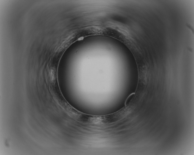 X0000103480131200809191907