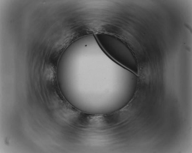 X0000103480132200809191907