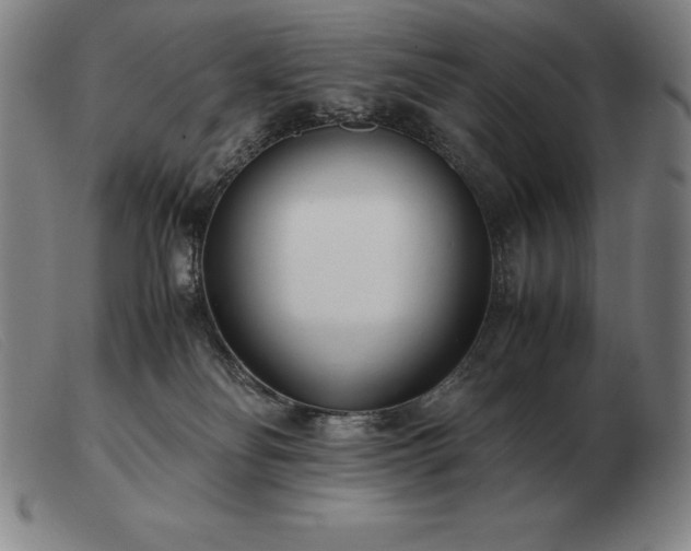 X0000103480134200809191907