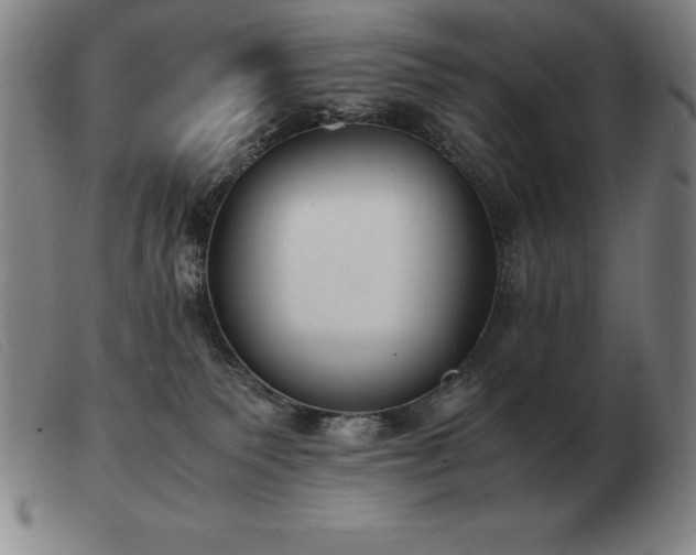 X0000103480135200809191907