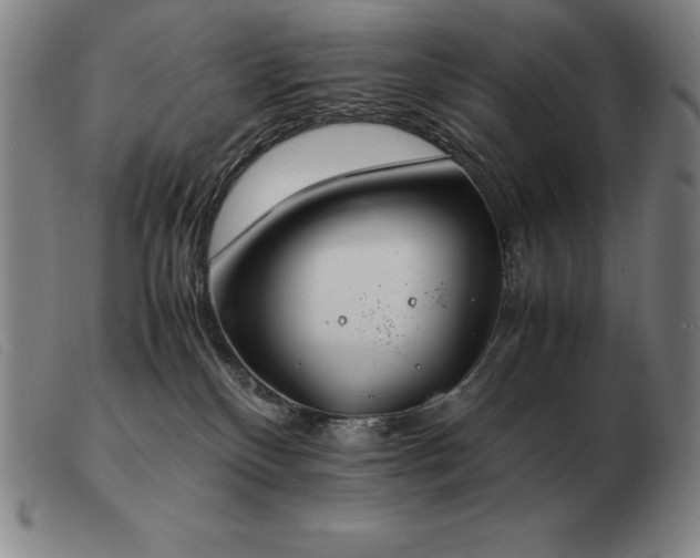 X0000103480136200809191907