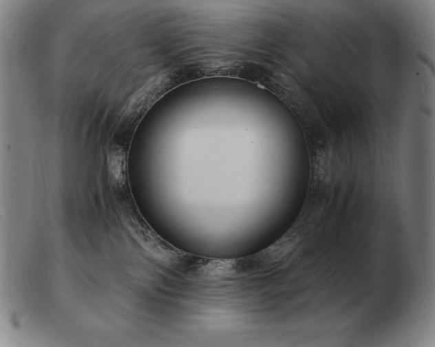 X0000103480138200809191907
