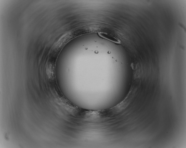 X0000103480140200809191907