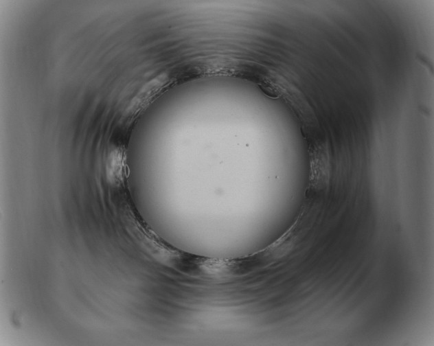 X0000103480142200809191907