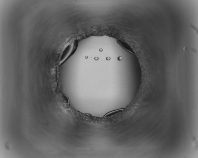 X0000103480144200809191907