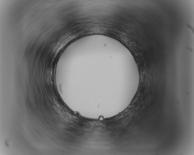 X0000103480146200809191907