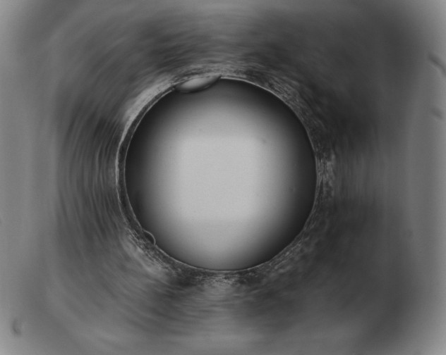 X0000103480148200809191907