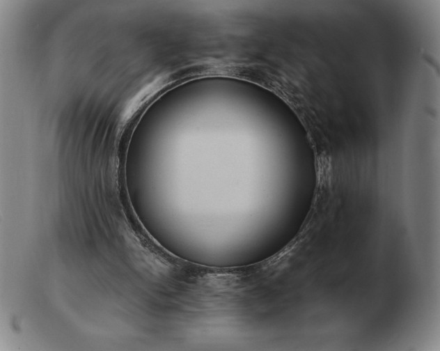 X0000103480150200809191907