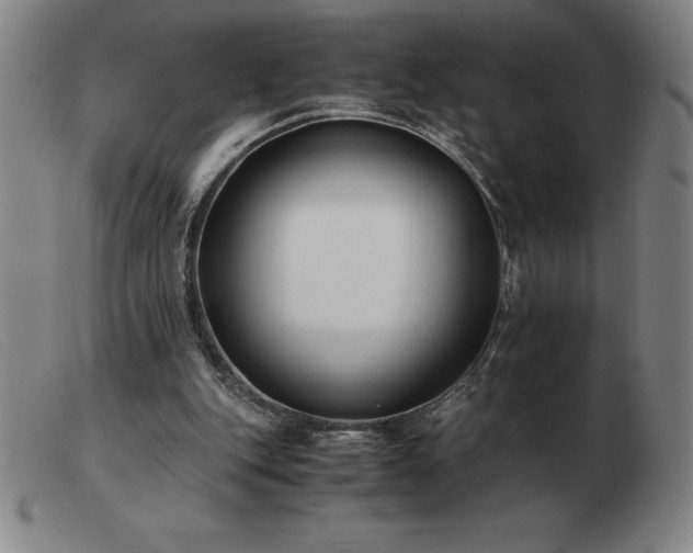 X0000103480151200809191907