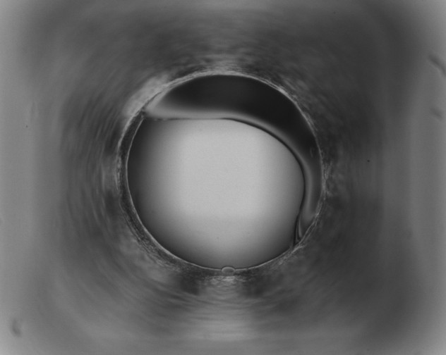 X0000103480152200809191907