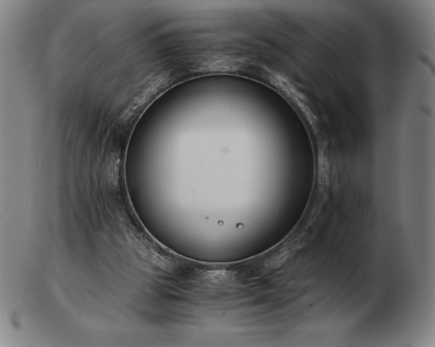 X0000103480153200809191907