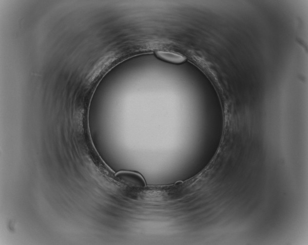 X0000103480154200809191907