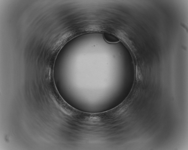 X0000103480157200809191907