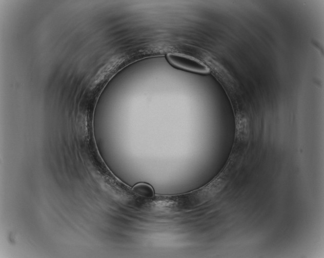 X0000103480158200809191907