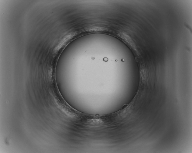 X0000103480159200809191907